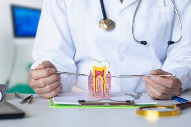 Best Emergency Tooth Extraction in Preston, ID